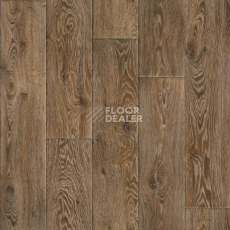 Линолеум Tarkett Evolution Raymond 4 фото 1 | FLOORDEALER